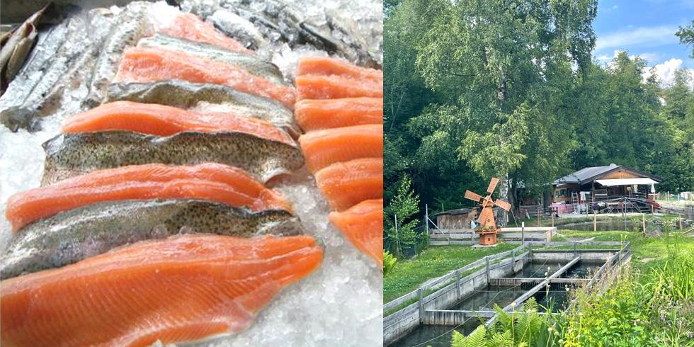 Fischzucht Geroldsmühle