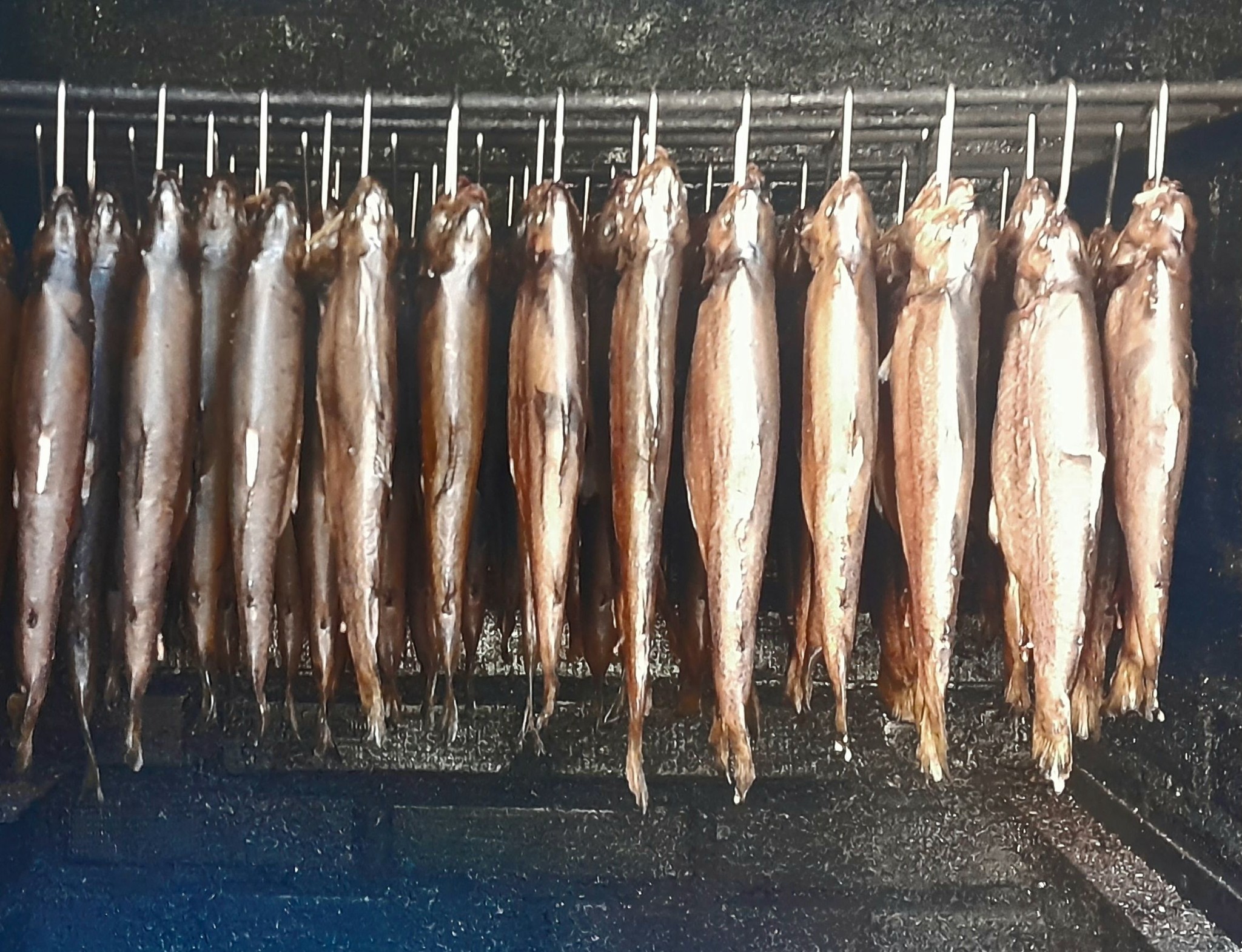 Geräucherte Forellen